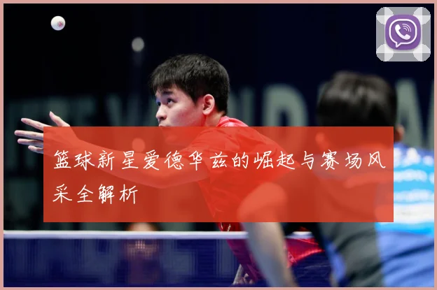 篮球新星爱德华兹的崛起与赛场风采全解析